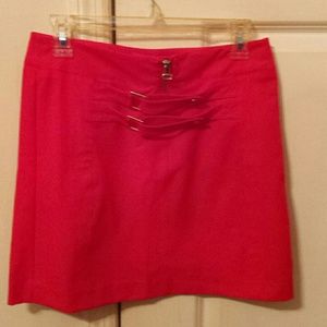 CACHE SKIRT.                  NWOT
