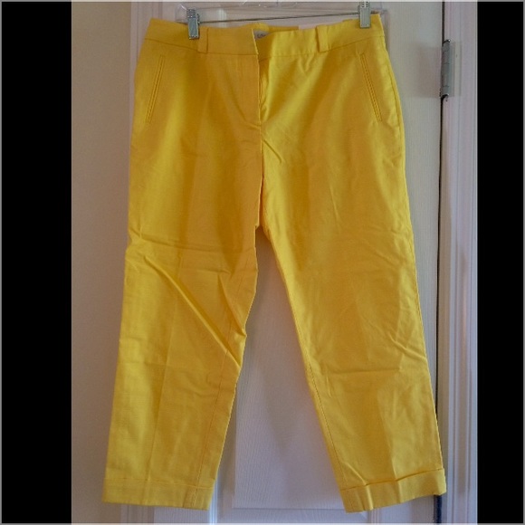 Loft size 8 petire capri.