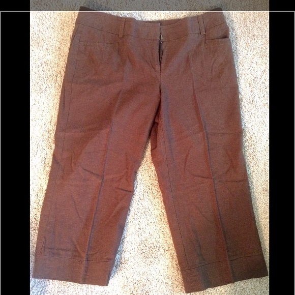 Size 8 new york and company brown capri
