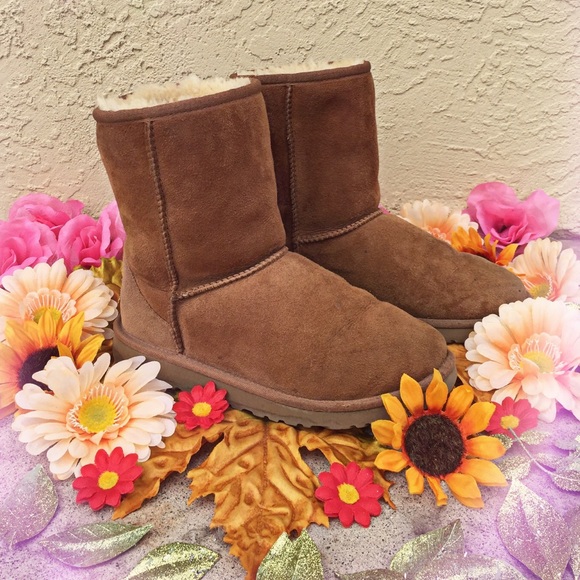 UGG Boots - Authentic Chestnut Short Uggs