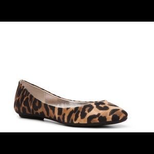 Steve Madden Heaven ballet flat