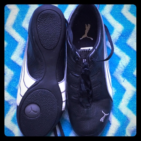 Pumas