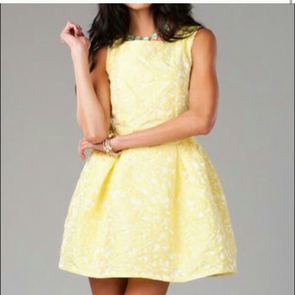 Francesca's summer skater dress
