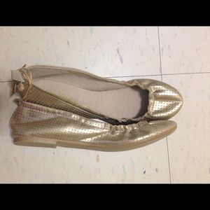 American eagle flats
