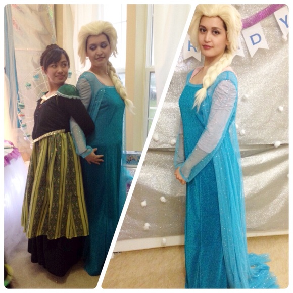 Adult Elsa Costume