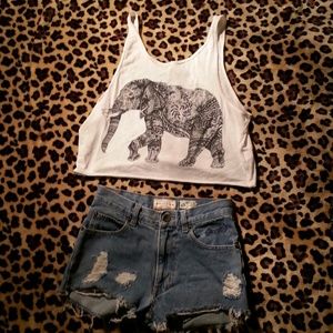 Tribal Elephant Crop