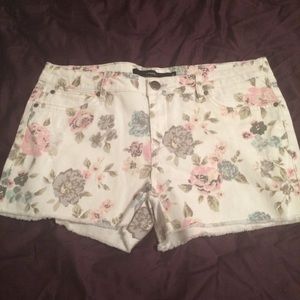 Francesca's cut off denim shorts