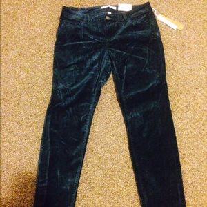 Brand new dark blue suede pants