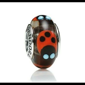 Pandora cinnamon ladybugs charm