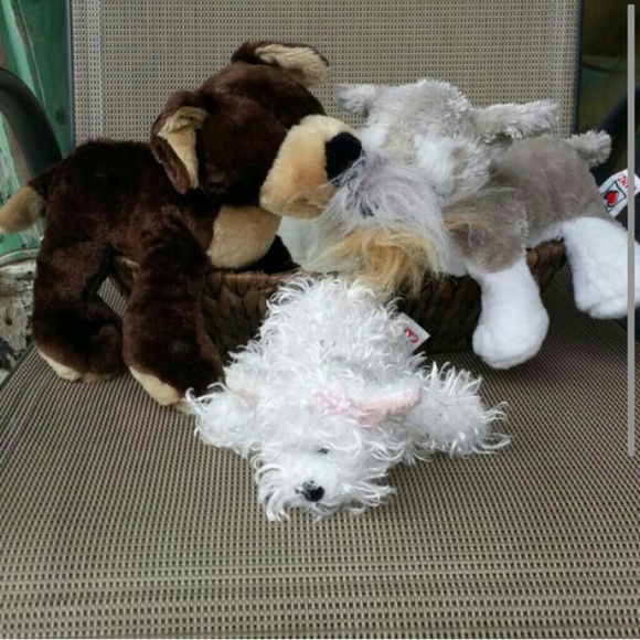3 webkinz