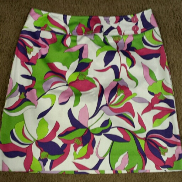 A Line skirt 8 petite - Picture 1 of 4