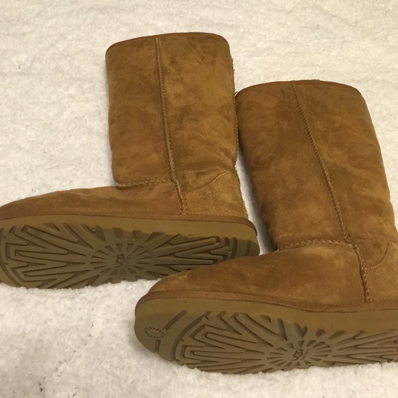 tall chestnut uggs!!