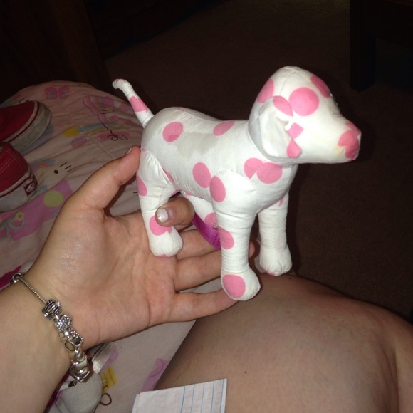 PINK Victoria Secret Dog! 😩💋