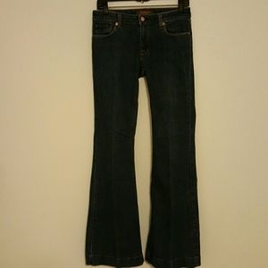 The Limited Bohemian Style Jeans size 2