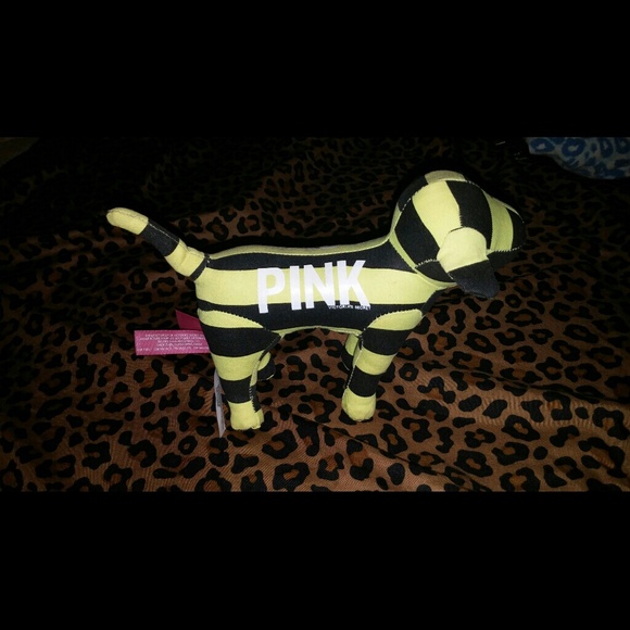 Victoria's secret pink dog