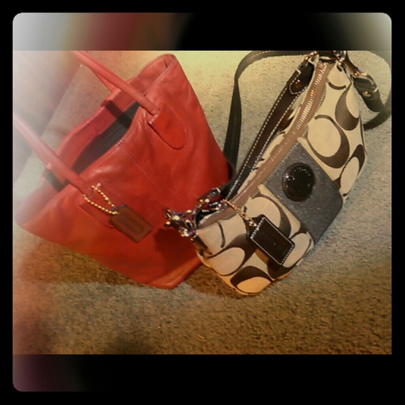 Coach - Picture 1 of 1