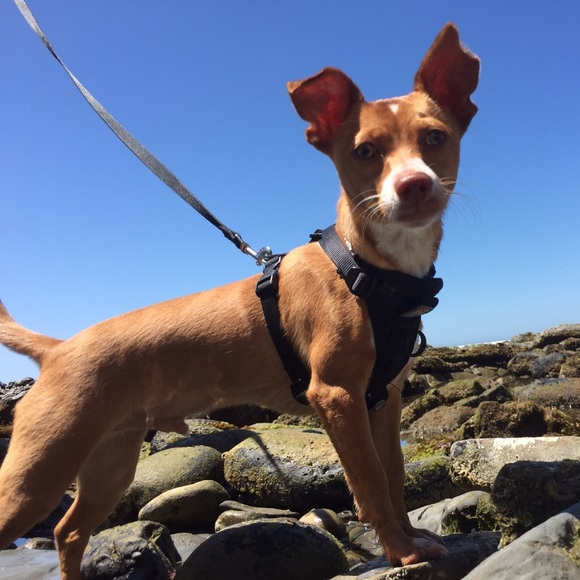 About Your Seller 💕 - Picture 3 of 4