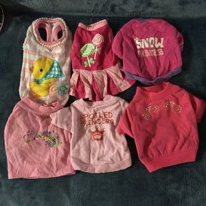Bundle of puppy clothes
