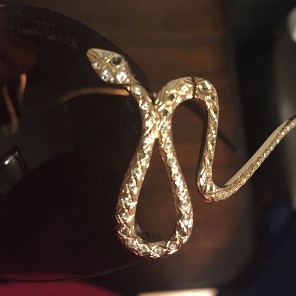 Roberto Cavalli Europa Women's Round Sunglasses - Picture 4 of 4