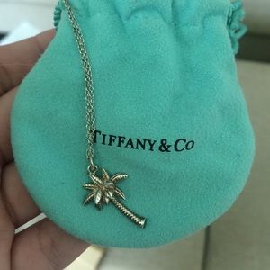 Authentic Tiffany & Co. Charm and chain