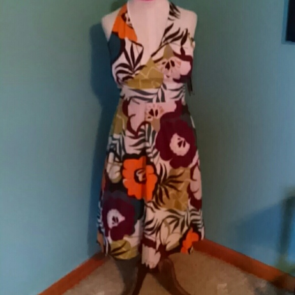Kim Rogers Dress