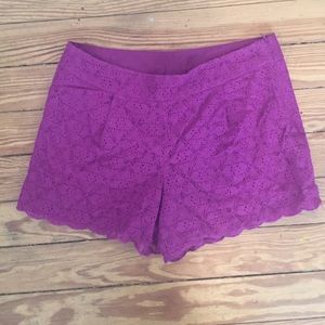 High waisted purple lace shorts