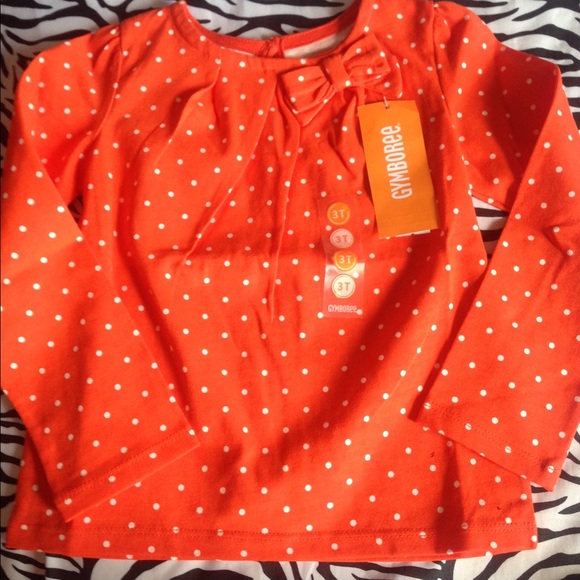 3t Gymboree shirt