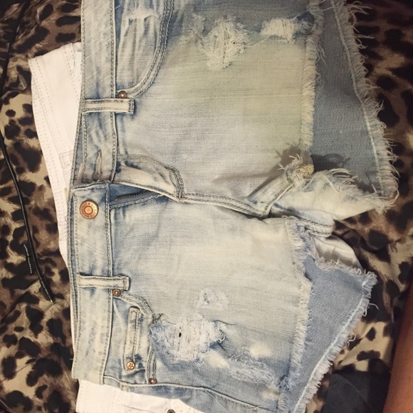 Shorts - Picture 4 of 4