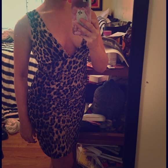 Sexy Leopard Print Dress
