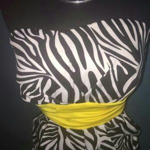 Strapless Zebra Dress