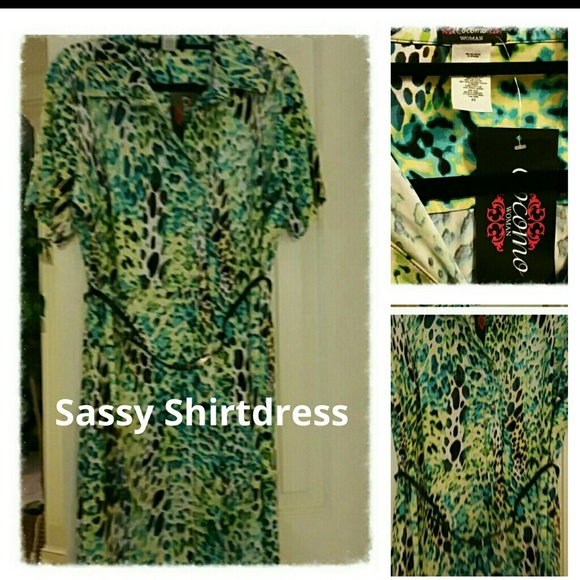 NWT Snappy Summer Shirtdress