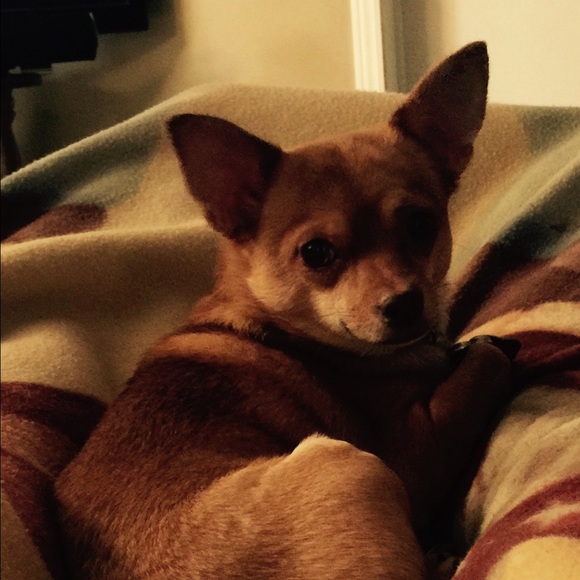 Just sharing - Picture 2 of 4