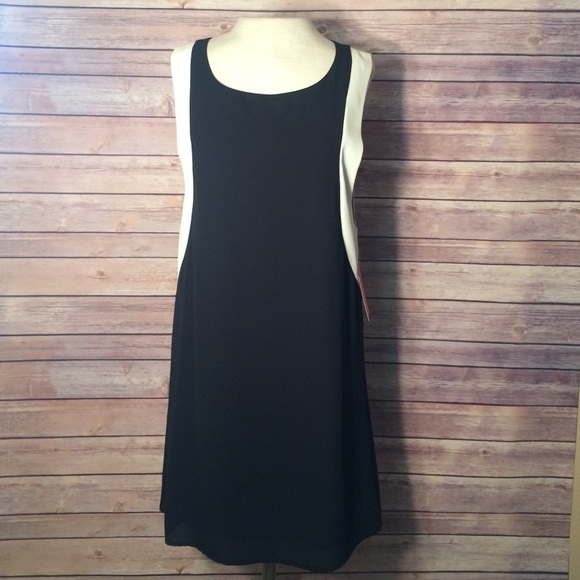 Dresses & Skirts - ❤️FLASH SALE❤️ Black dress with white detail