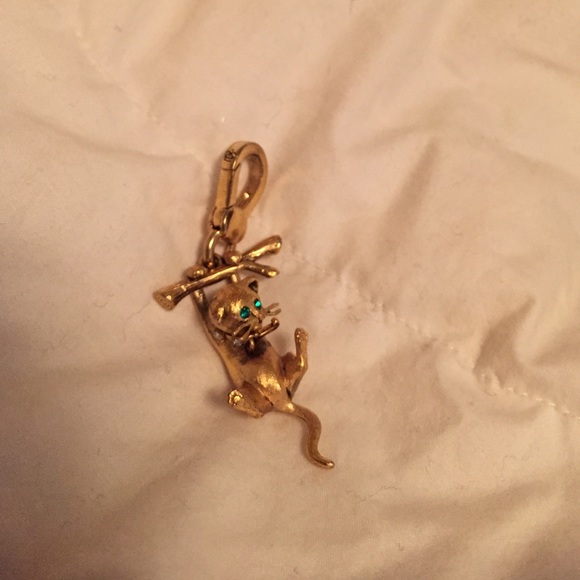 Hang in there Cat Charm *Hard to find*