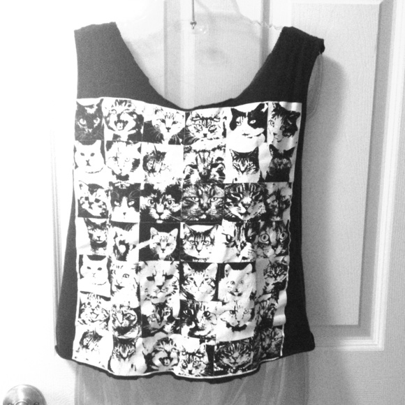 DIY Cat Tank