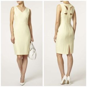 NWT Dorothy Perkins dress