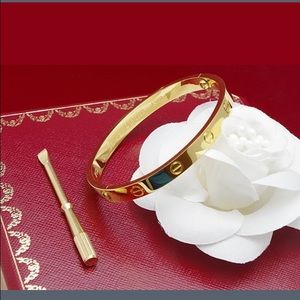 Screw LOVE Bangle Size 16