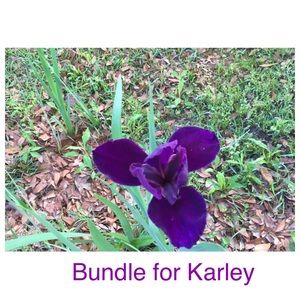 **RESERVED** new bundle for Karley