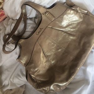Metallic Coach Bag