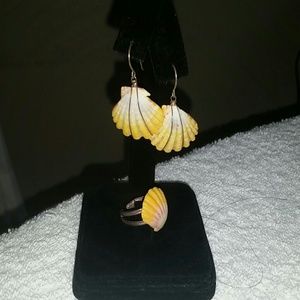 Hawaiian Sunrise Shells