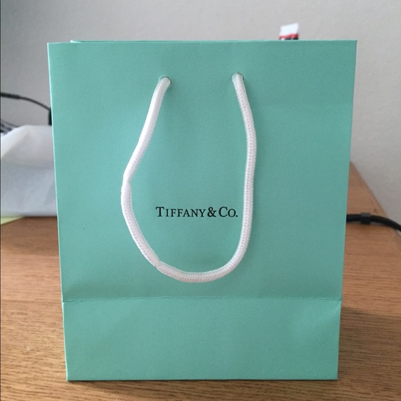 Authentic Tiffany & Co. Shopping Bag
