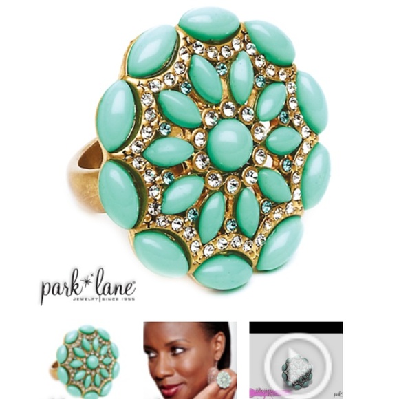 NWOT Park lane ring size 7