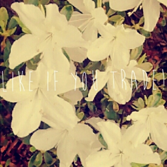 Like if you trade!!! ?