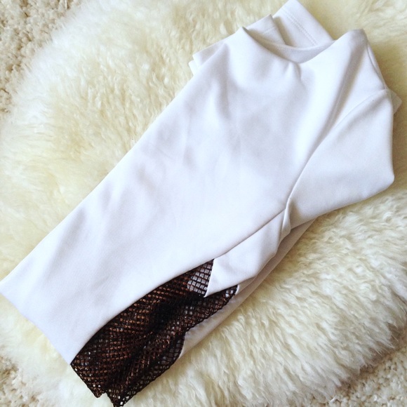 1Day Sale ⛵️Boulee Erika White Mesh Dress - Picture 4 of 4