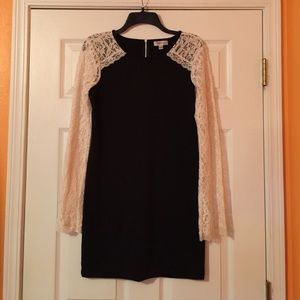 Olsenboye Laced Sleeve Fitted Dress