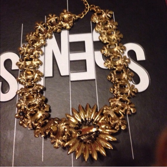 Burst of Beauty - Picture 4 of 4