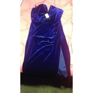 Akira cobalt blue velvet dress
