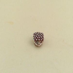 Pandora charm