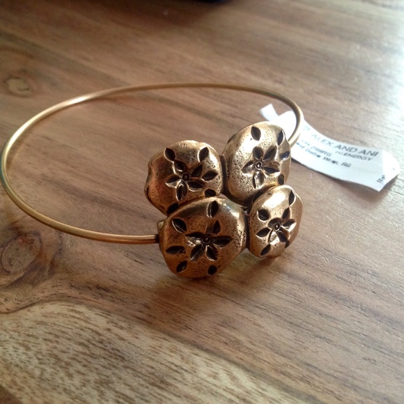 SOLD ❌! RARE! Alex and Ani wrap! - Picture 2 of 3