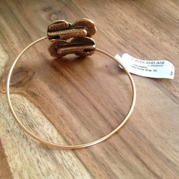 SOLD ❌! RARE! Alex and Ani wrap! - Picture 3 of 3